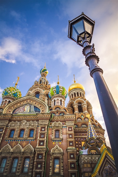 Фото жизнь