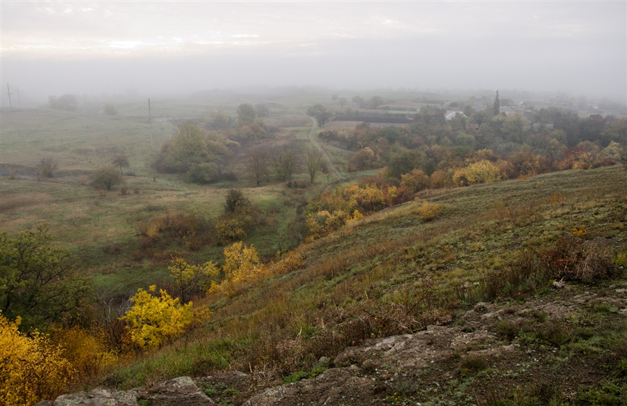 Фото жизнь