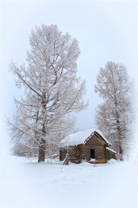 Фото жизнь