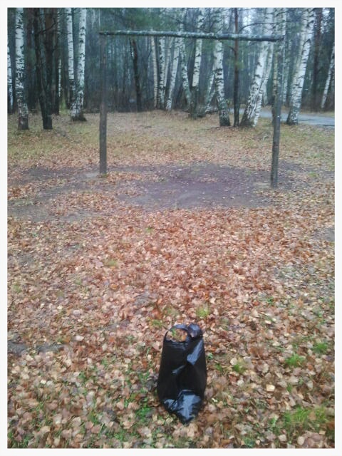 Фото жизнь (light) - serenata - корневой каталог - *