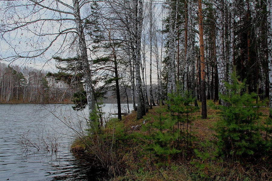 Фото жизнь