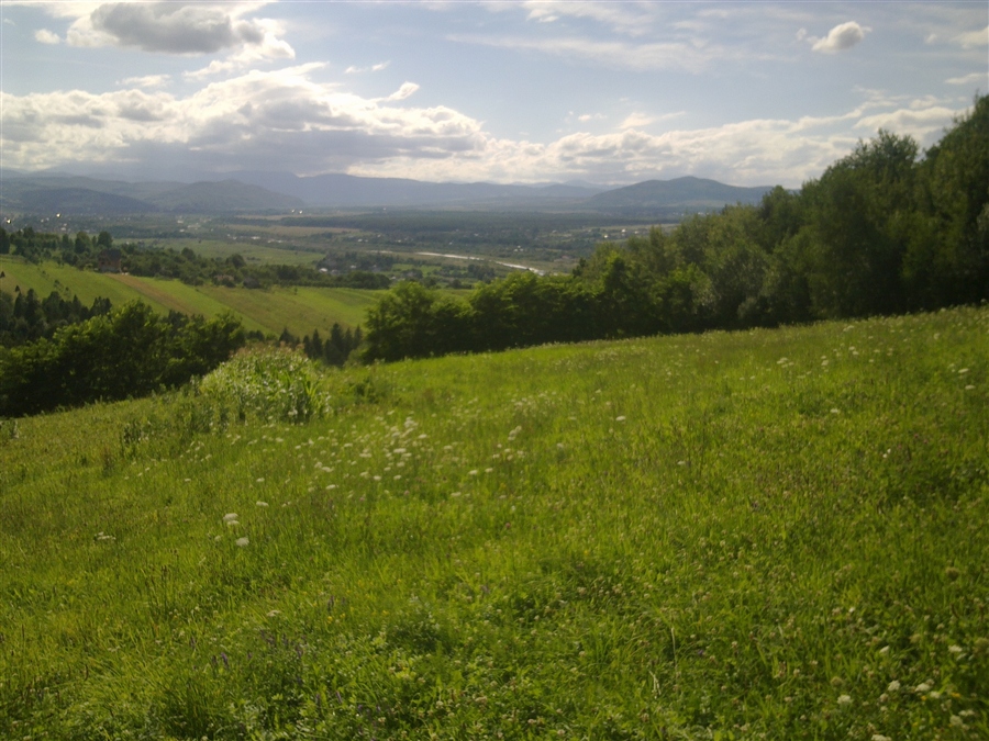 Карпаты