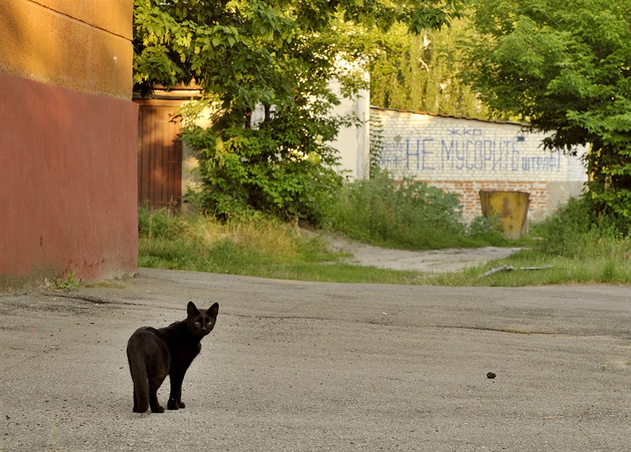 Фото жизнь