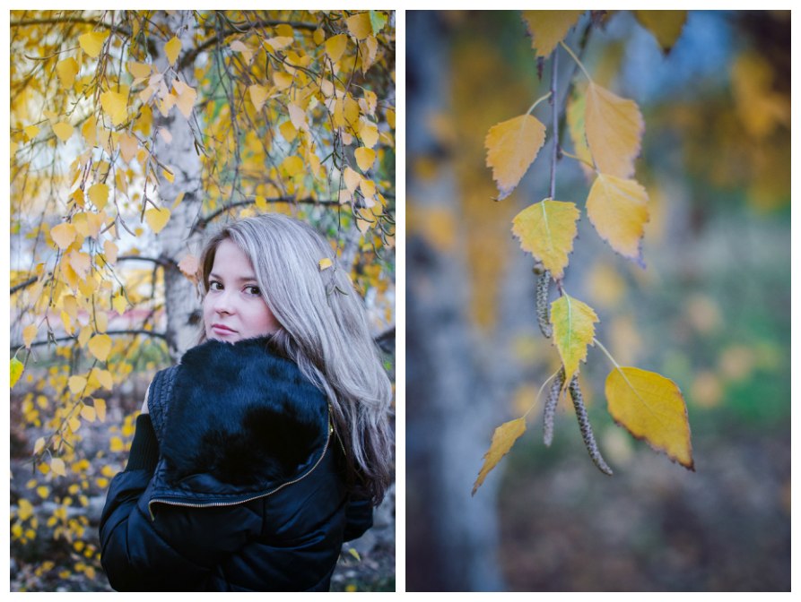Фото жизнь (light) - Александра Ружицкая - корневой каталог - Осень