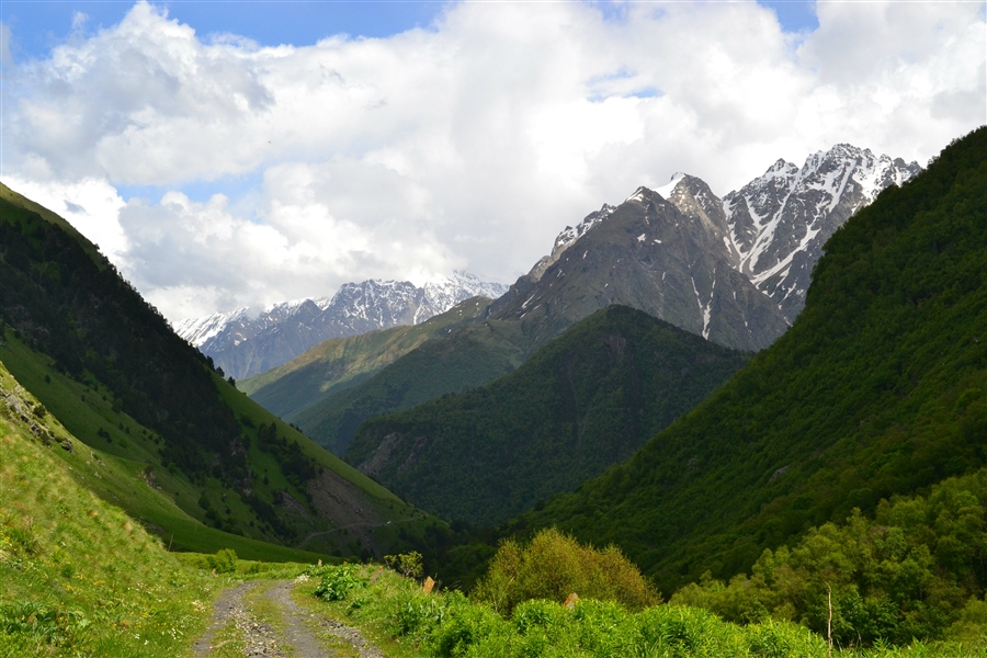 Фото жизнь