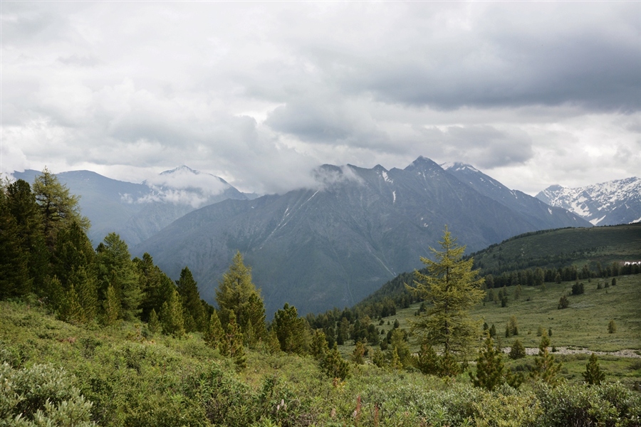 Фото жизнь