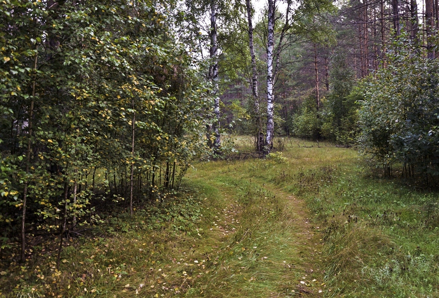 Фото жизнь