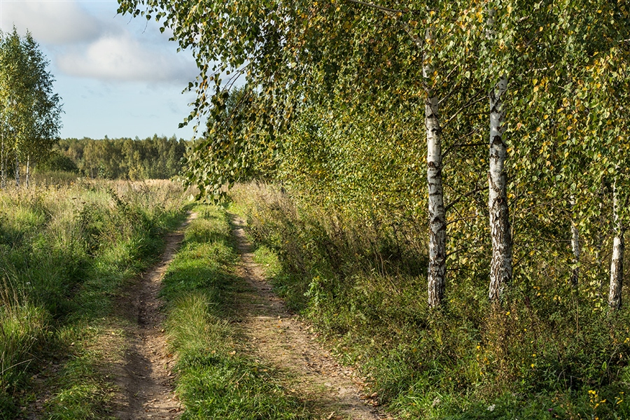 Фото жизнь