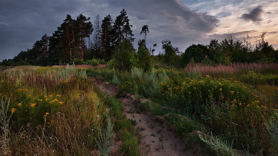 Фото жизнь