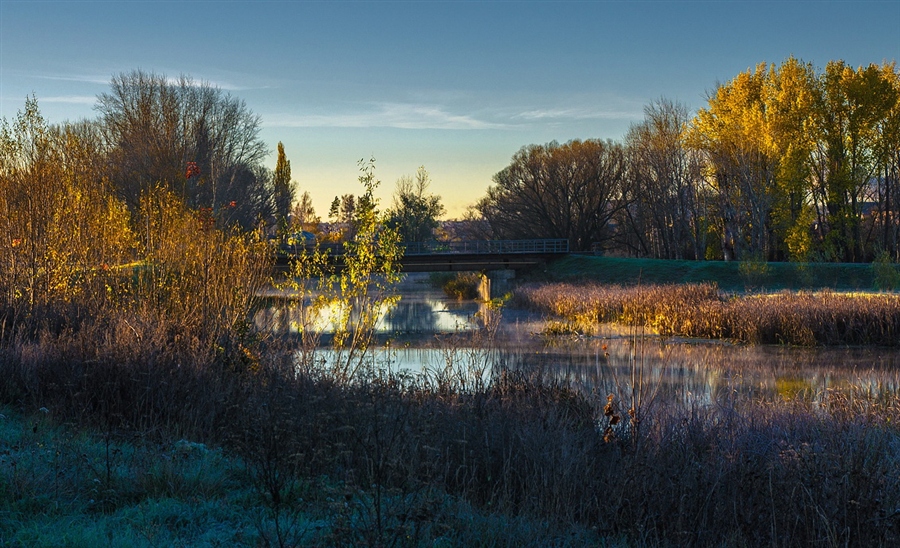 Фото жизнь