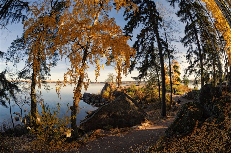 Фото жизнь