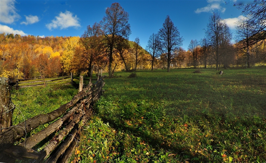 Фото жизнь