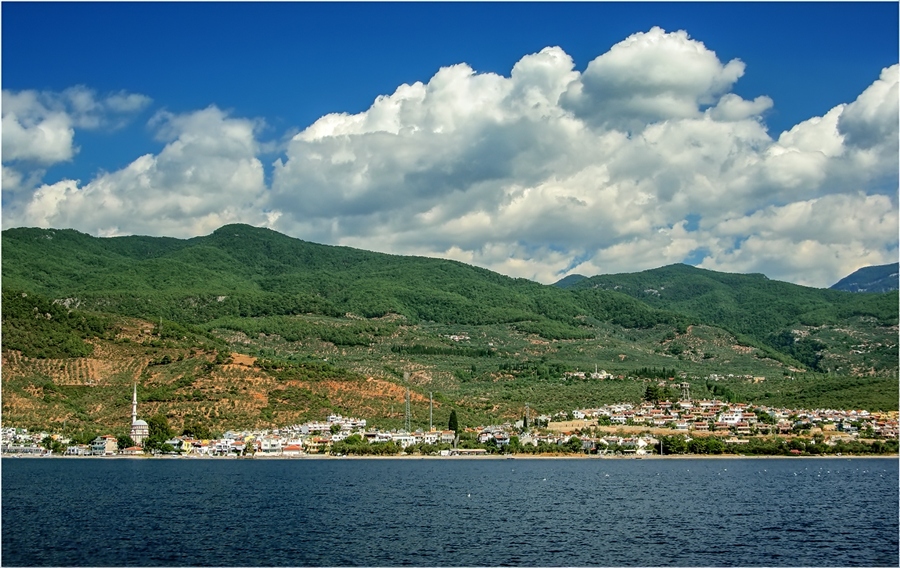 Фото жизнь