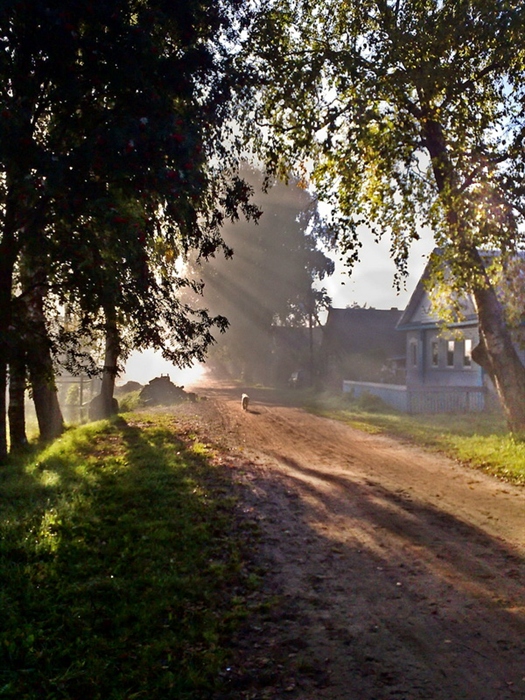 Фото жизнь