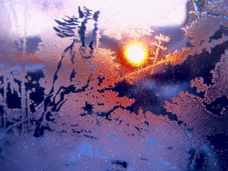 Фото жизнь (light) - Устинья  - корневой каталог - Рисует узоры мороз на оконном стекле