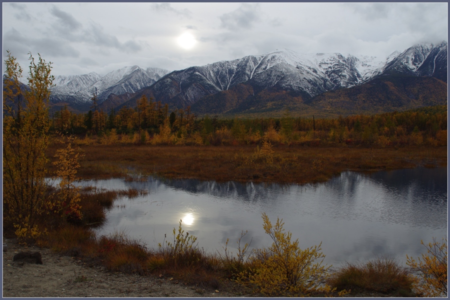 Фото жизнь