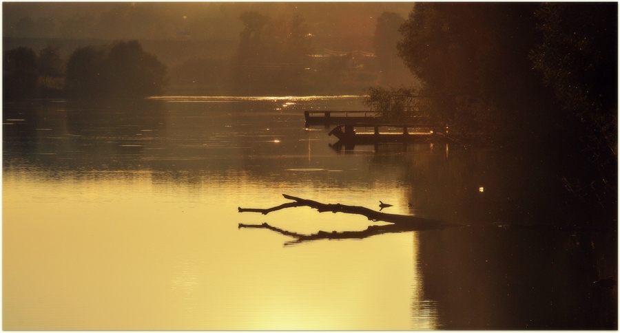 Фото жизнь (light) - sergey_kovyak - корневой каталог - Нега деревенского пруда...