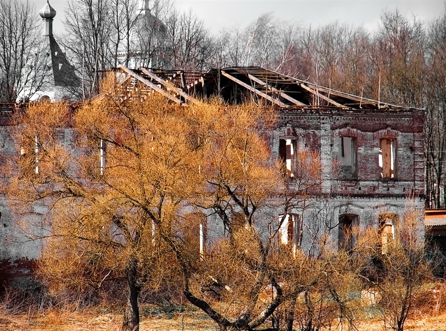 Фото жизнь
