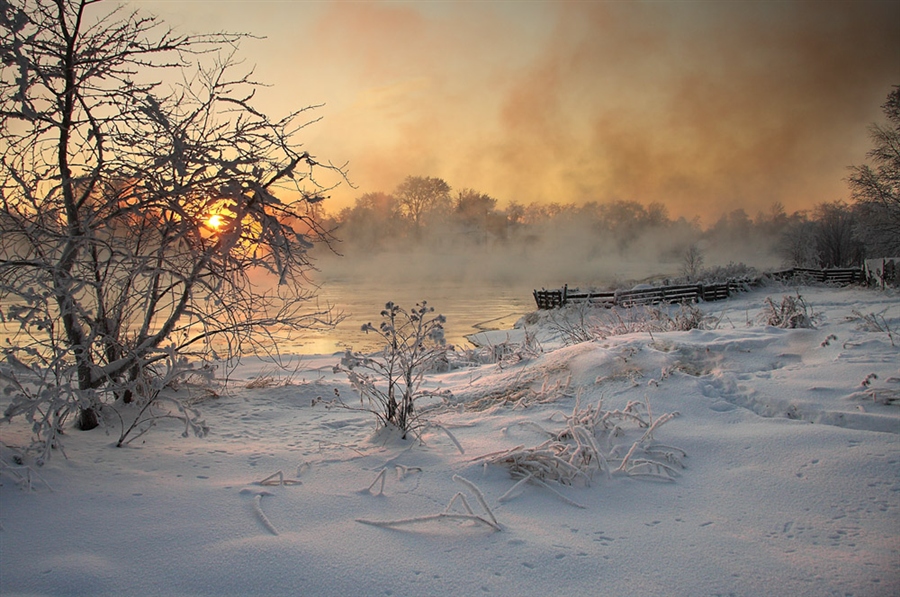 Фото жизнь