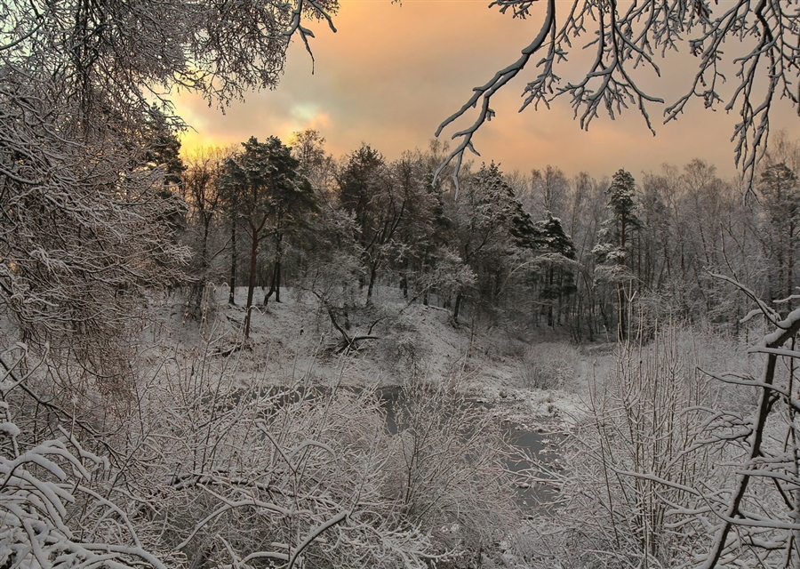 Фото жизнь