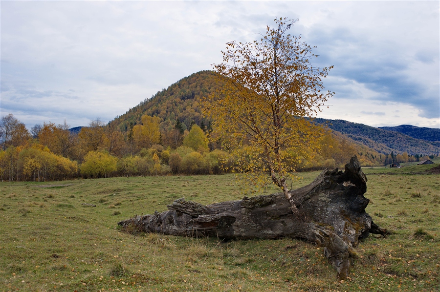 Фото жизнь