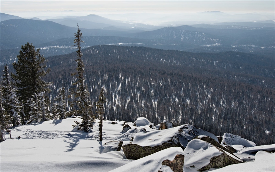 Фото жизнь