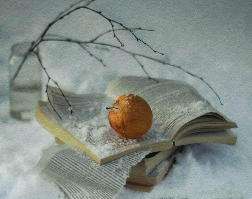 Фото жизнь (light) - Lilliya - корневой каталог - Яблоко на снегу...
