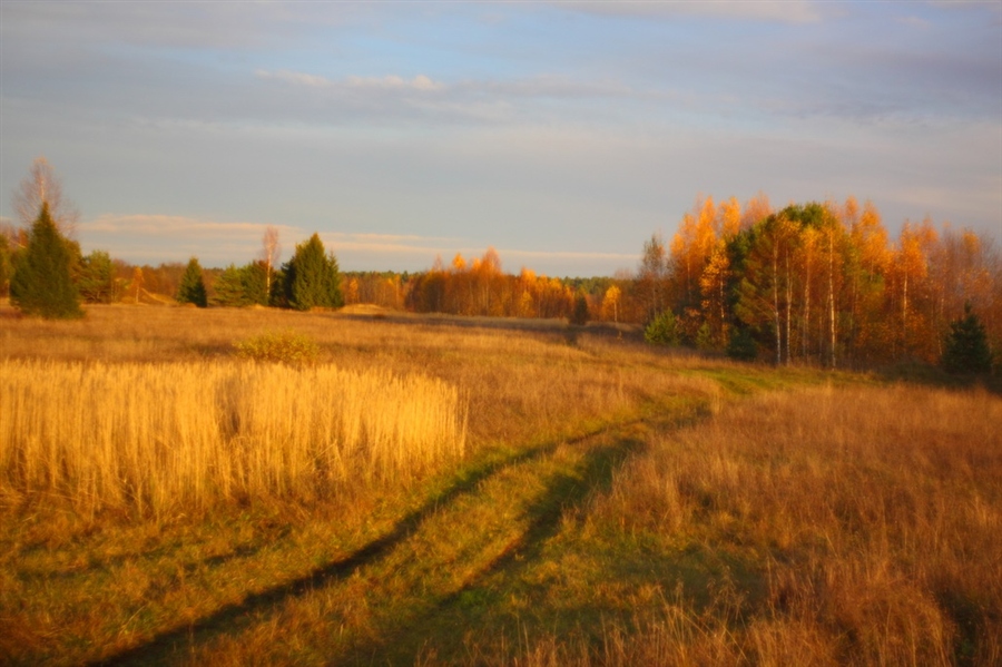 Фото жизнь