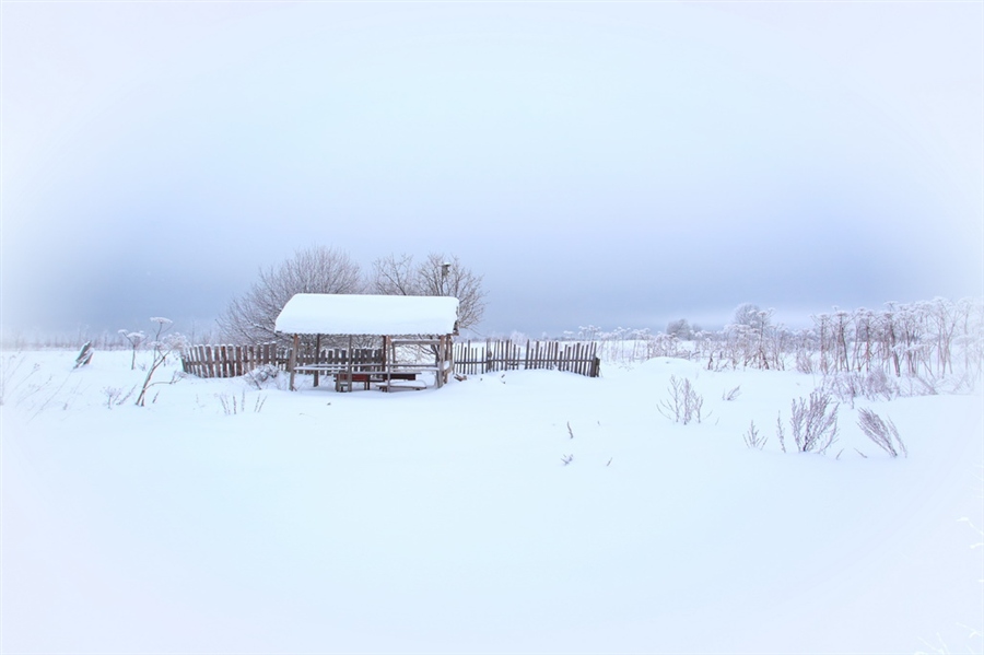 Фото жизнь