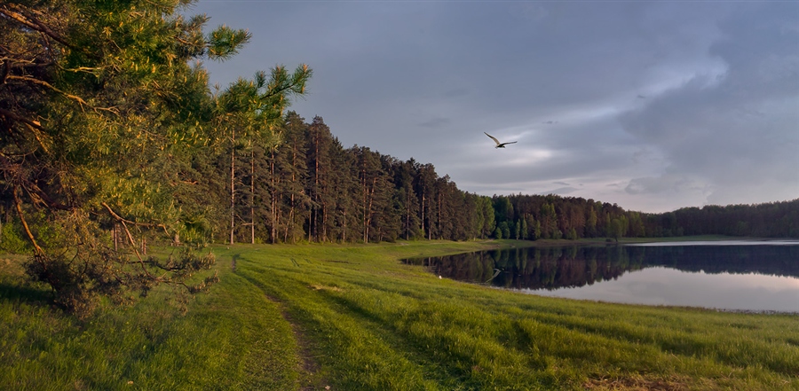 Фото жизнь