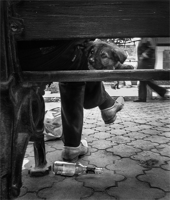 Фото жизнь (light) - Evgenij_Fedirko - корневой каталог - Лучший Друг...