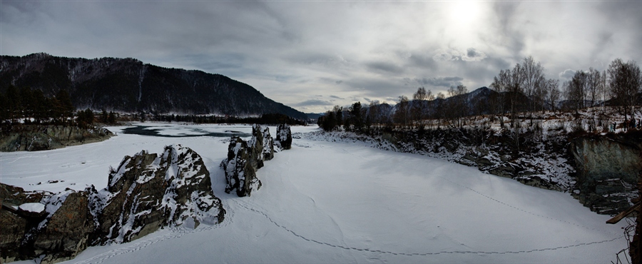 Фото жизнь