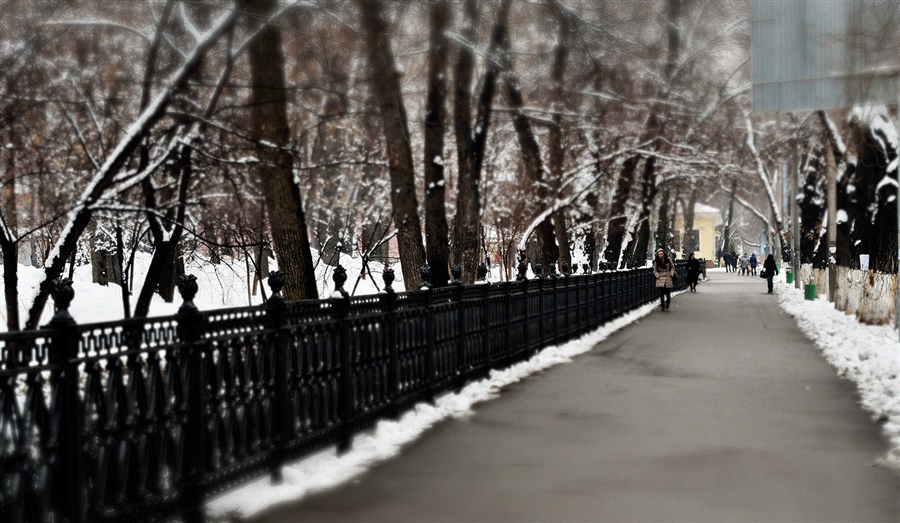 Фото жизнь