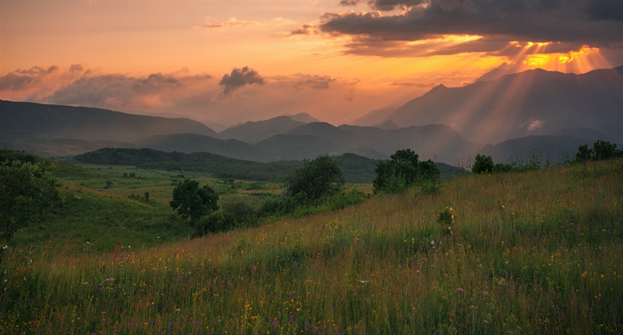 Фото жизнь