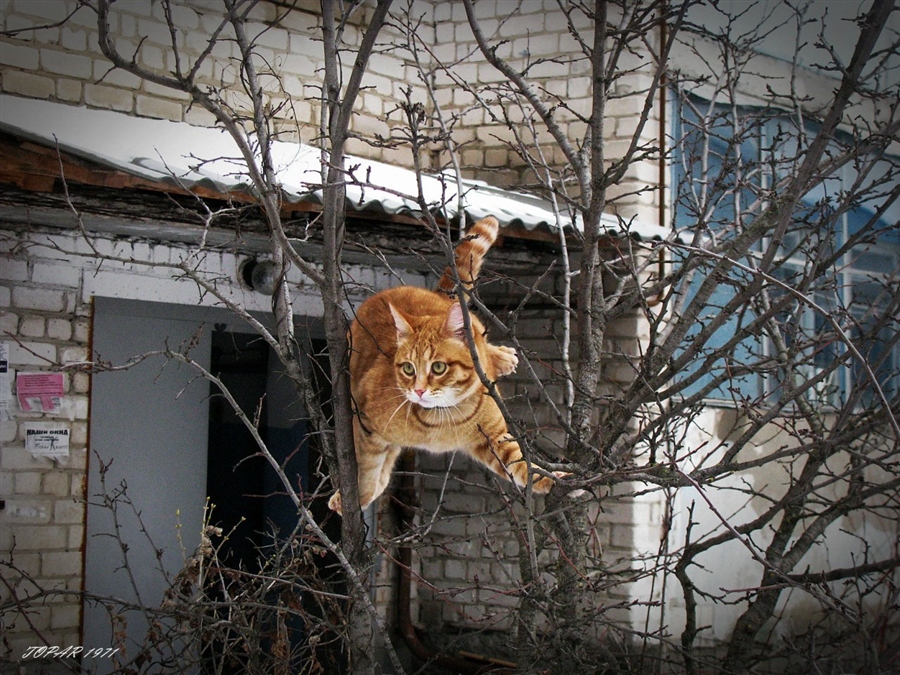 Фото жизнь