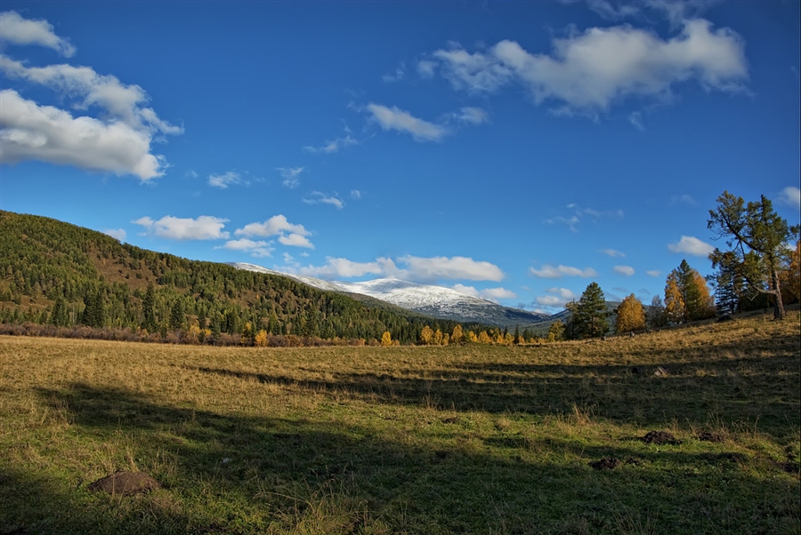 Фото жизнь