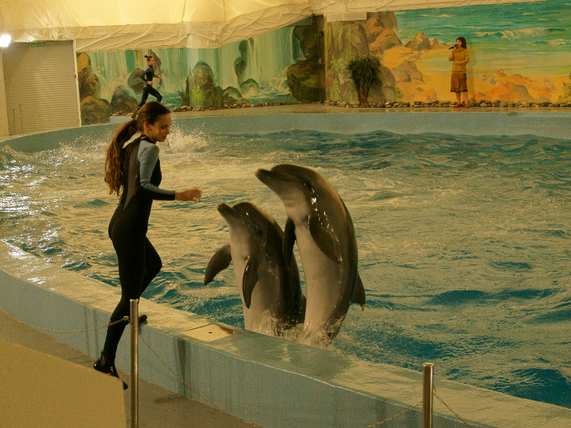 Фото жизнь (light) - Helg - зоопарки, аквариумы - человек дельфину друг!