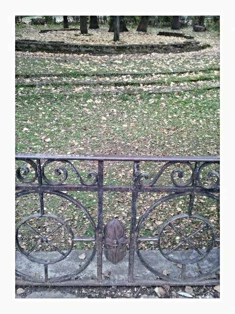 Фото жизнь (light) - serenata - корневой каталог - *