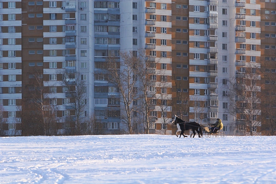 Фото жизнь