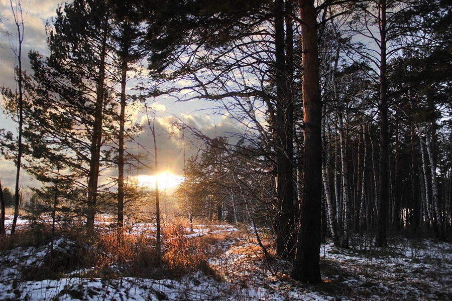 Фото жизнь