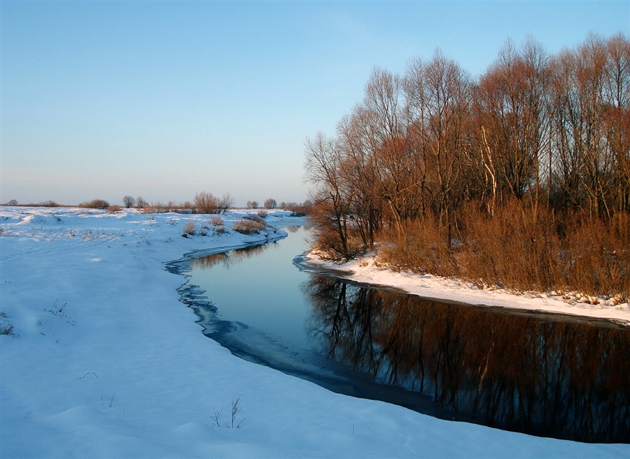 Фото жизнь