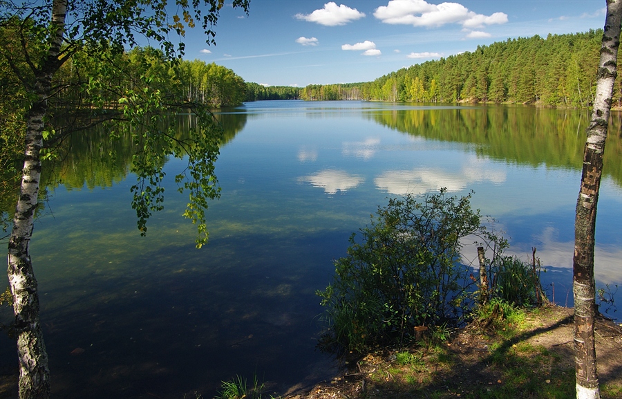 Фото жизнь