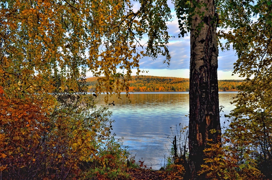 Фото жизнь