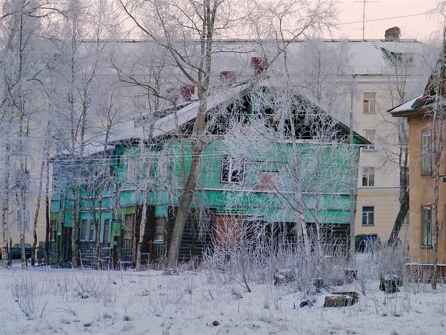 Фото жизнь