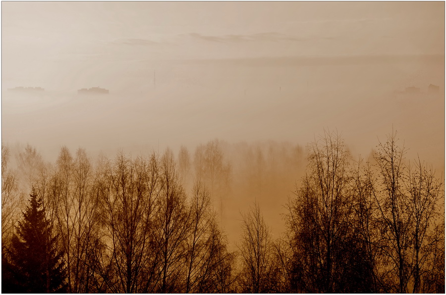 Фото жизнь - Podlevskih - корневой каталог - Утро туманное