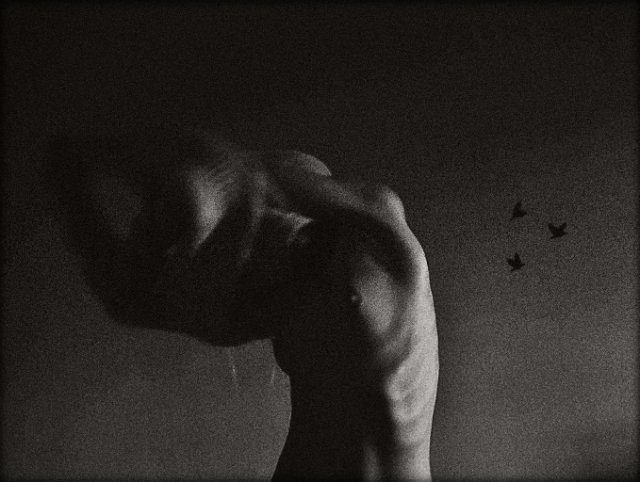 Фото жизнь (light) - Euphoria - корневой каталог - ...