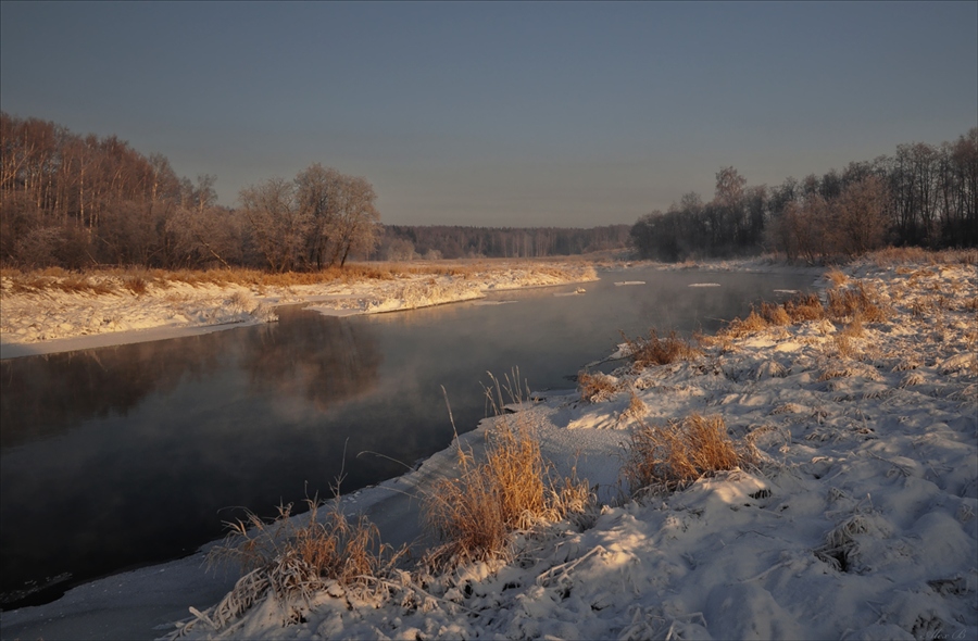 Фото жизнь