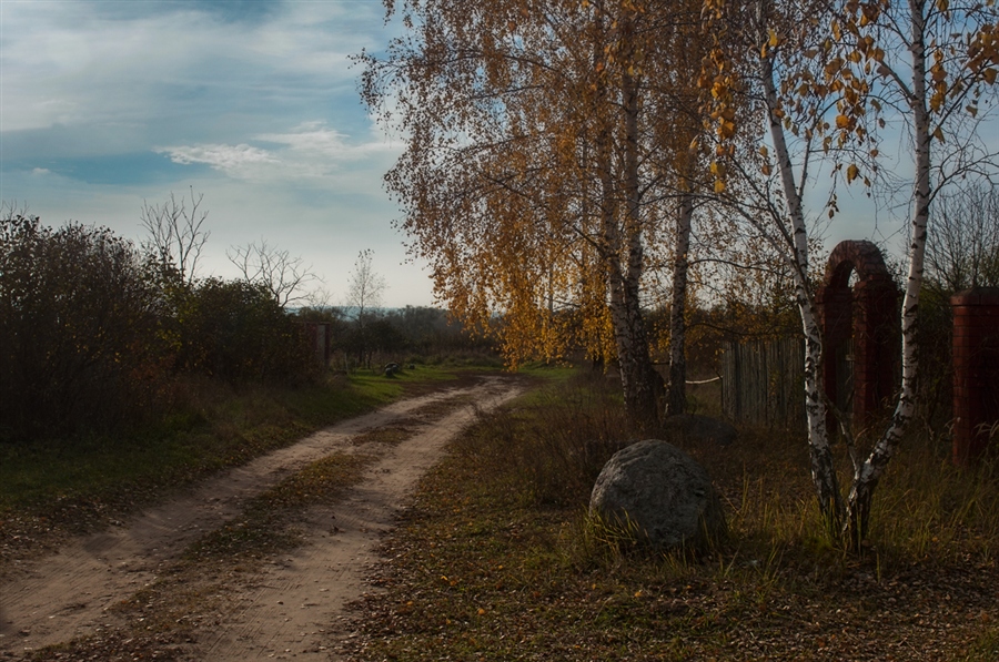 Фото жизнь