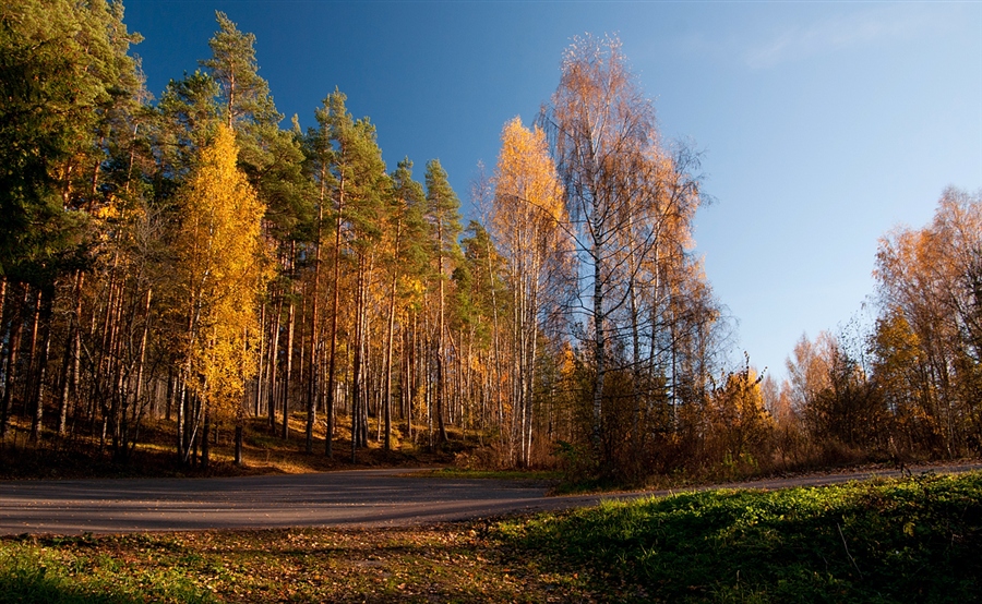 Фото жизнь