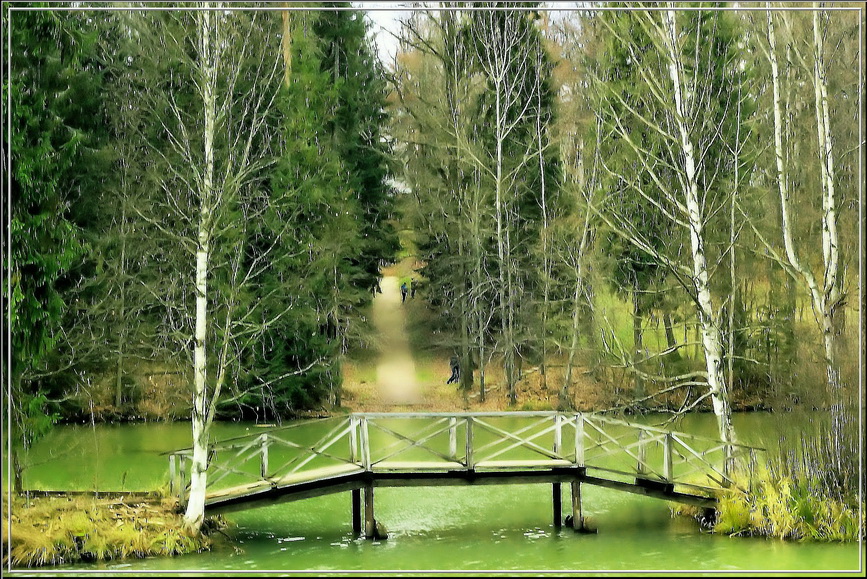 Фото жизнь (light) - Николай Воронов - корневой каталог - Нижний пруд